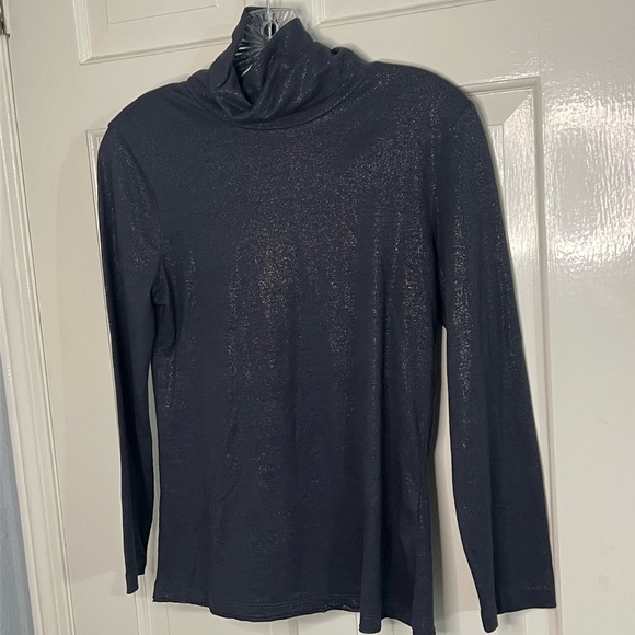 Anthropologie Tops - Anthropologie Shimmering Gray Turtleneck Top